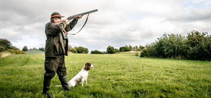 Hunting Dog Breeds