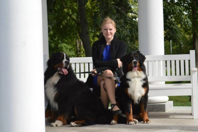 Bernese Mountain Dog