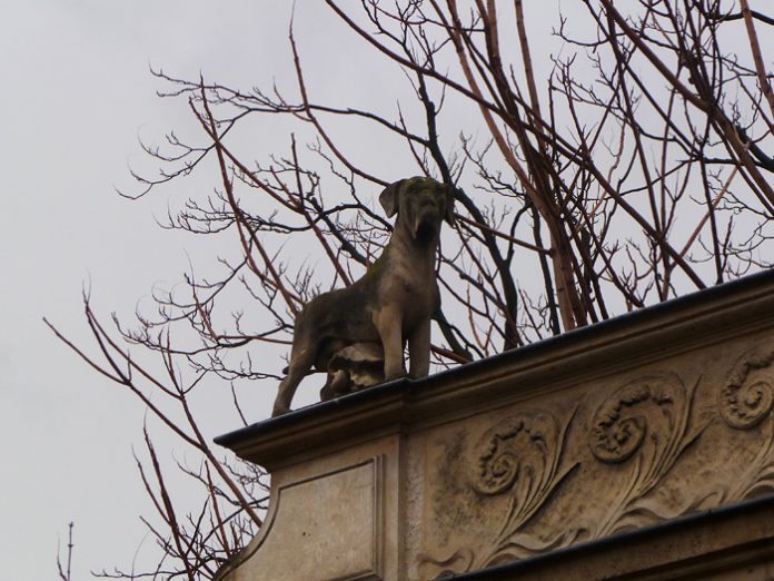 Cimetiere des Chiens