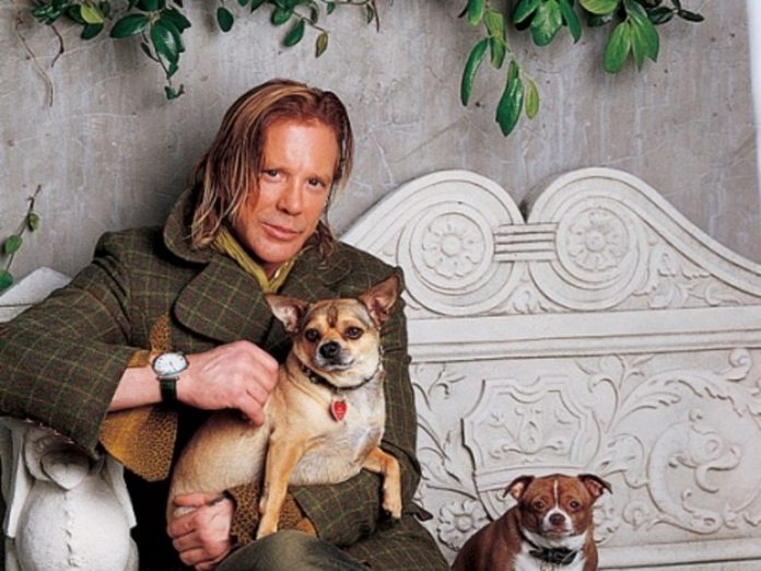 mickey rourke dog