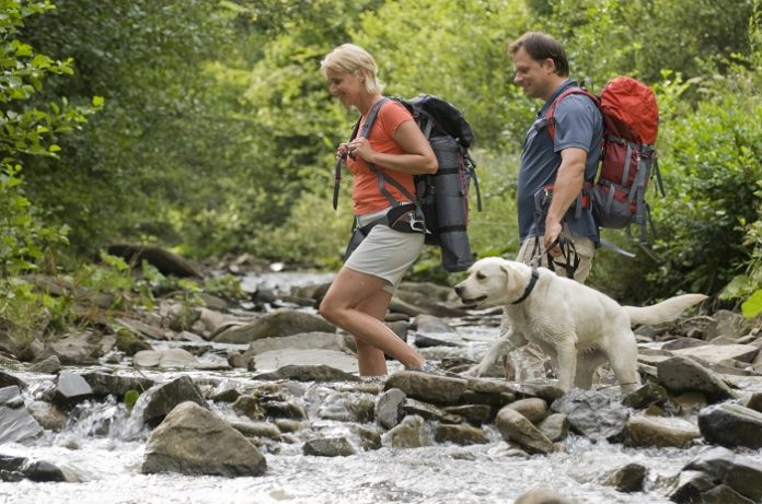 How Our Dogs Help Us to Burn Calories