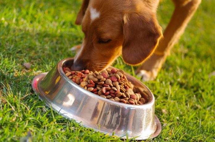 Dehydrated Dog Food