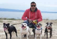 Exclusive Interview about Staffordshire Bull Terrier with Regals and Royals Staffordshire Bull Terrier