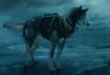 The True Story Behind Togo Togo True Story