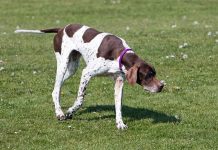 What is the Difference Between Following and Tracking?