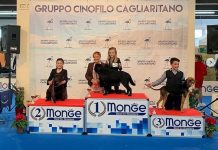 Exclusive Interview about Junior Showmanship with Junior Handling Winners Junior Showmanship Junior Handling