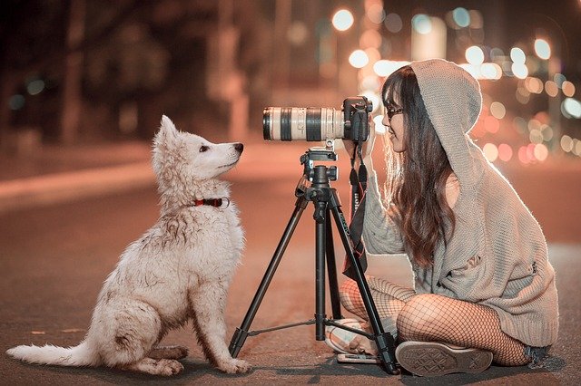 Photographing dog