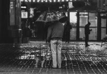 5 Ideal Dog Breeds For The Elderly People