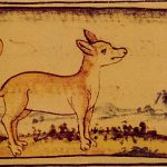 Exclusive : Ancient Mayans kept dogs and jaguars as pets?