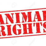 Shocking: South Korean cooks the neighbor’s dog and invite the neighbor to share the meal