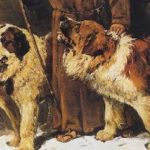 Barry – The Story of the Most Famous Saint Bernard Dog in the World Saint Bernard
