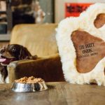 EXCLUSIVE : First Pub to Introduce Dog Food Menu