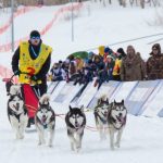 Russia hosts the world’s longest sled race dog sled race