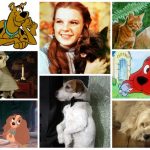 Best Dog Movies that Everyone Should Watch…
