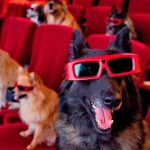 Dog Friendly Movie Premiere at York Cinema