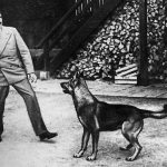Famous Dog Owners in History famous dog owners