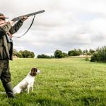 Top 7 Hunting Dog Breeds from South-East Europe Hunting Dog Breeds