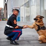 US Marine Corps Dog named Lucca awarded medal for service in Iraq and Afghanistan