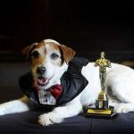 Best 5 Movie Dogs of All Time