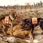 Four-Legged Heroes of the WWII dogs heroes