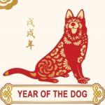 Based on your Zodiac,what is the perfect dog for you? dog zodiac