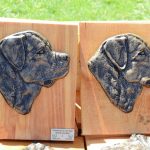 Few Words about The Rottweiler and Review of the VII Macedonian Club Sieger Rtottweiler