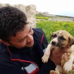 Syrian Man with Heart of Gold : No animal will be left behind