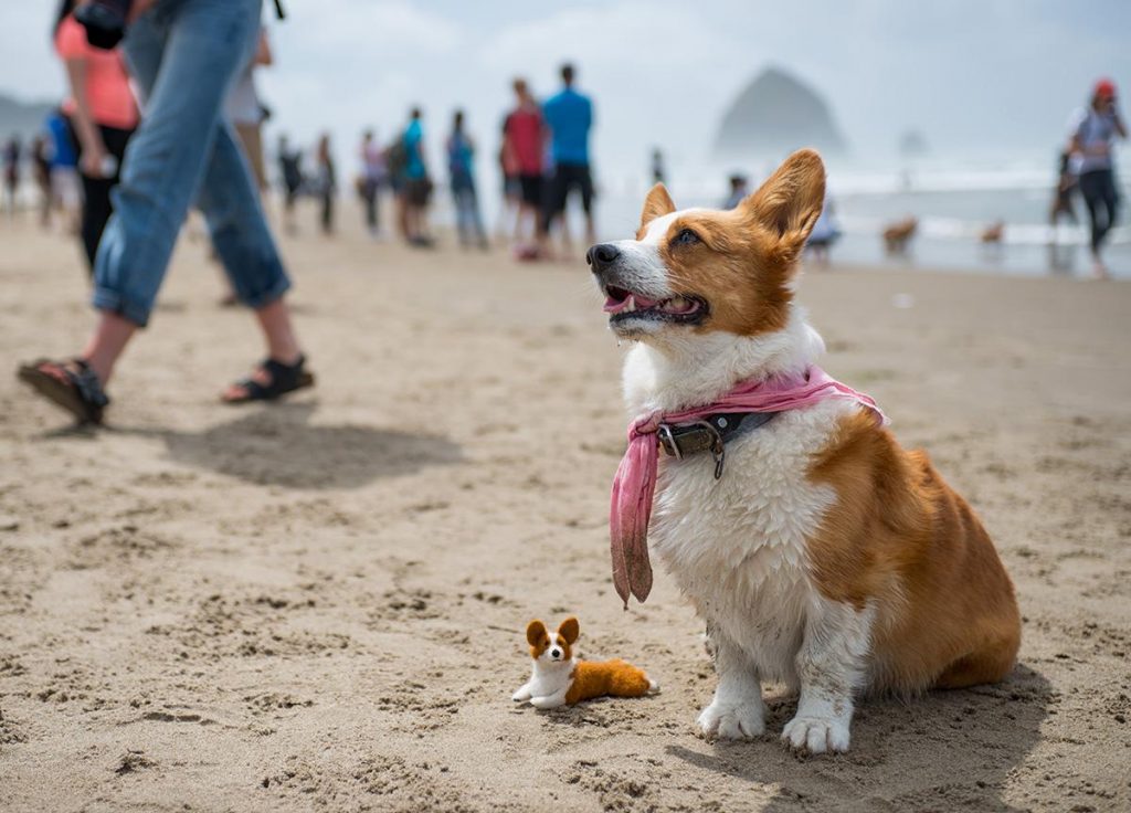 Beach Party this weekend...And you are all invited