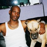 Is DMX involved in Dog Fights?