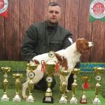 Few words about Brittany Dog with Mr. Stefan Jovanović brittany