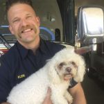 Brave Firefighters revive dog after performing CPR.