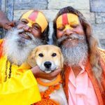 Dogs in Hindu Mythology