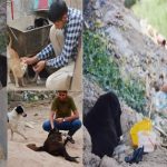 Iraqi Angels : Struggling to Help Iraq’s Abandoned Dogs abandoned dogs