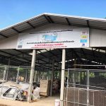 Inside the Dog Death Camp in Thailand