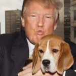 Donald J. Trump – The First US President without a Dog in 100 years