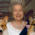 Corgis of Queen Elizabeth Corgis Queen Elizabeth