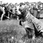 Stubby – World War I Pit Bull Hero