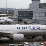 United Airlines New Dog Policy dog flight