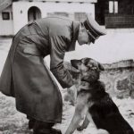Famous Dogs : Blondi – Hitler’s German Shepherd famous dog blondi