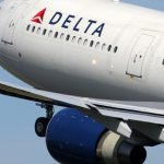 Dog Found Dead During Layover at Detroit Airport