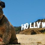 Famous People with their Dogs