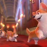From Buckingham Palace to the Big Screen : The Queen’s Corgi