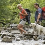 How Our Dogs Help Us to Burn Calories How Our Dogs Help Us to Burn Calories