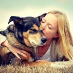 For owners, the death of a dog can be more difficult than losing a relative or friend death of dog