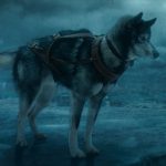 The True Story Behind Togo Togo True Story