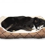 How to make a Dog Bed and Pillow Dog Bed
