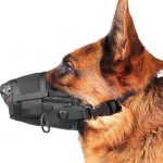 Dog Muzzles Dog Muzzles
