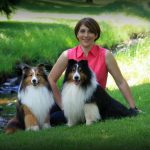 Exclusive Interview about Shetland Sheepdog with Ms. Cassandra Armsworthy sheltie shetland sheepdog