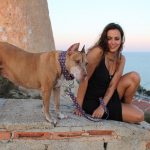 Can Dogs “Smell” Human Pregnancy? Dogs Smell Human Pregnancy