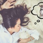 Dreams About Dogs | Subconscious Mind Wants to Tell You Something Dreams About Dogs